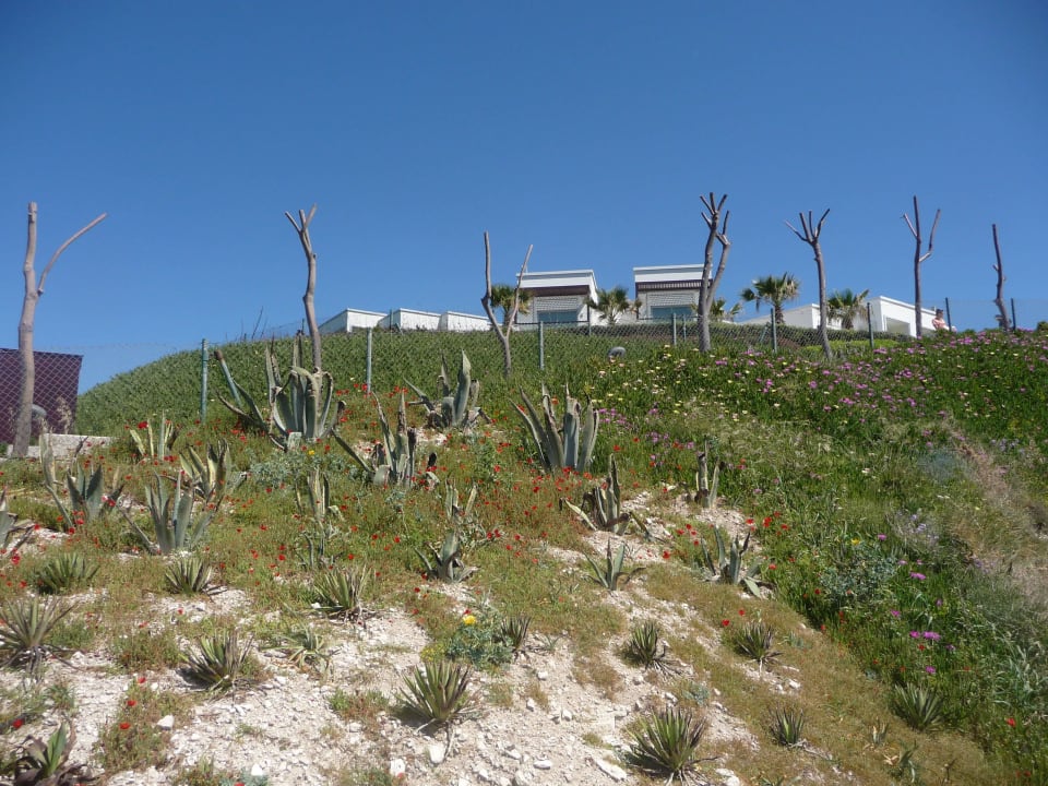 Details Xanadu Island Hotel