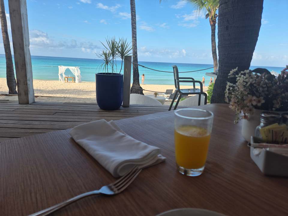 Gastro Catalonia Royal La Romana - Adults only