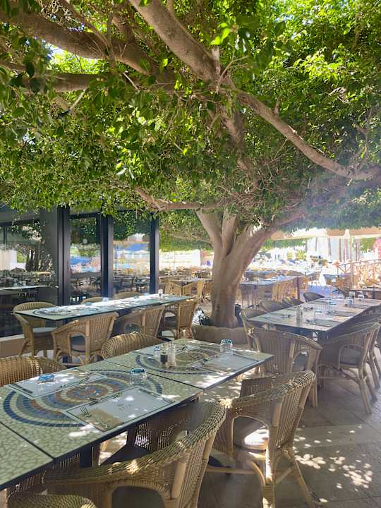 Gastro Azia Resort & Spa