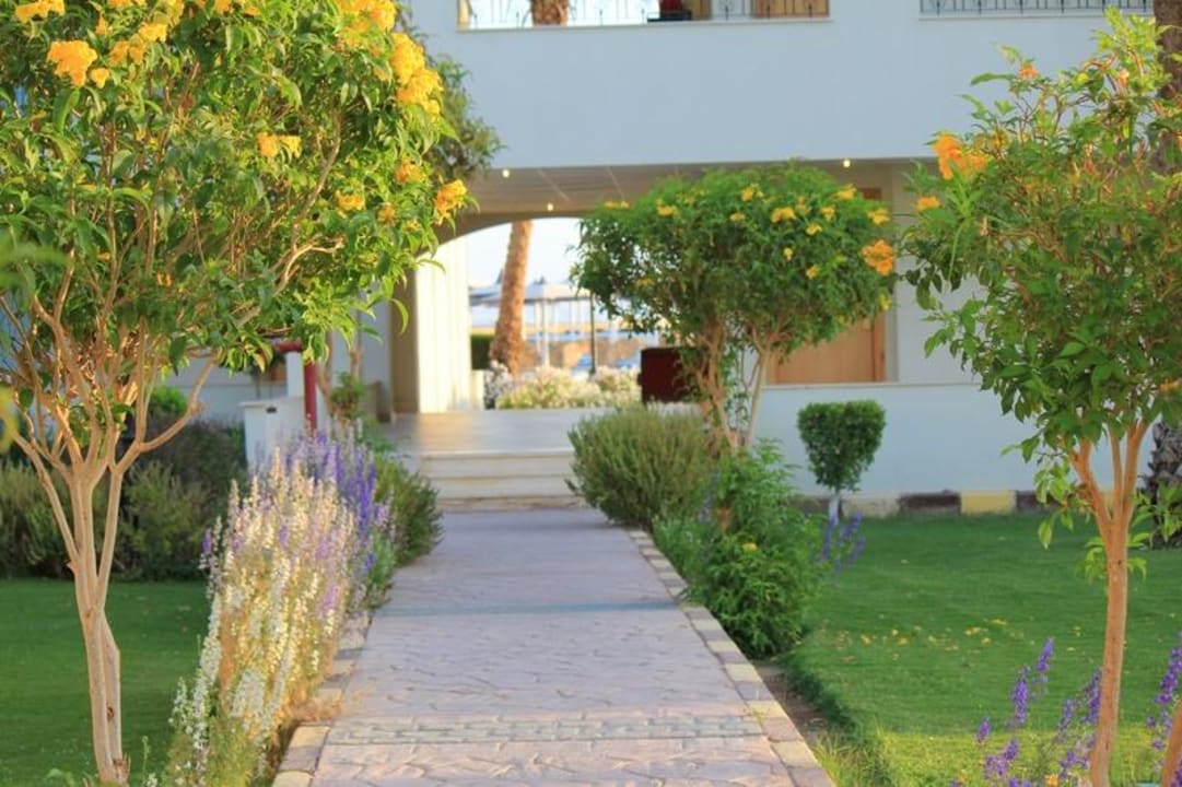 Weg zu Strand Pickalbatros Dana Beach Resort - Hurghada
