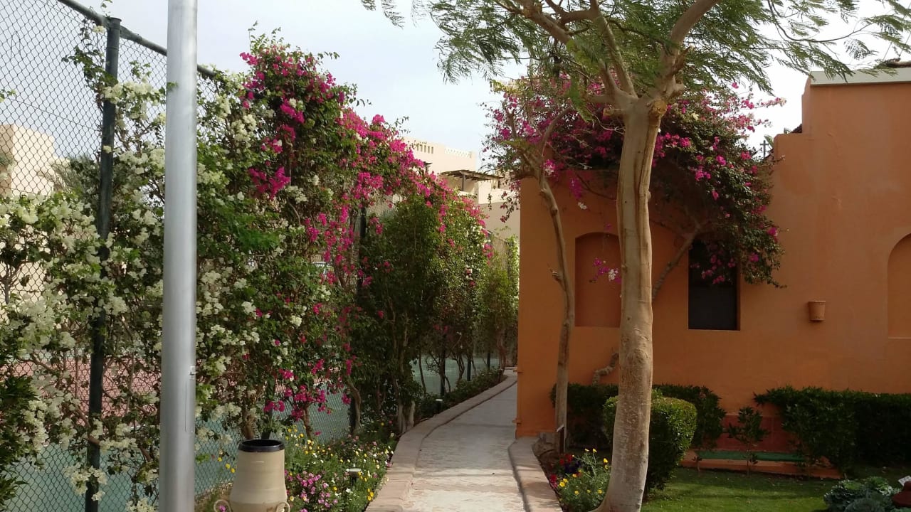 Blumenweg Hotel JAZ Makadi Star & Spa