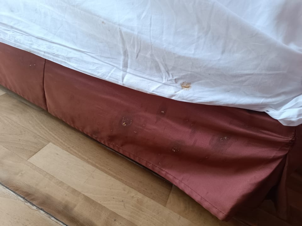 Zimmer Horus Paradise Luxury Resort & Club