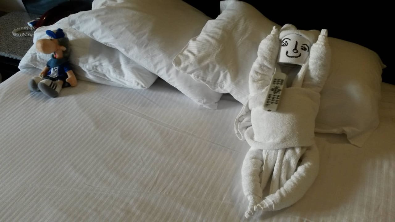 Bettdeko Pickalbatros Alf Leila Wa Leila Resort - Neverland Hurghada