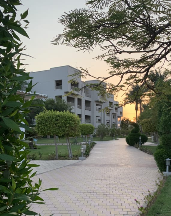 Gartenanlage Jaz Soma Beach