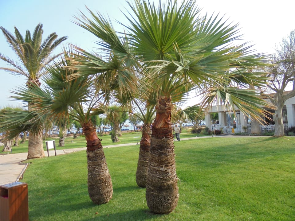 Gartenanlage Anissa Beach & Village