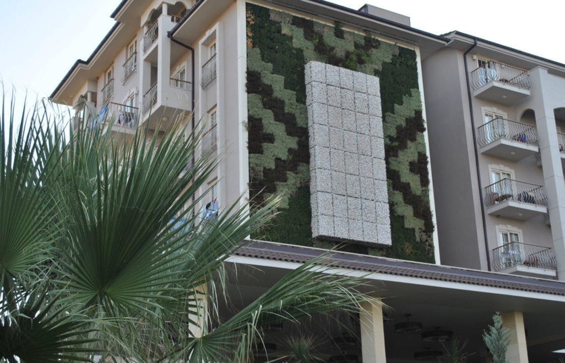 Trawnik na ścianie  Sunis Elita Beach Resort & Spa