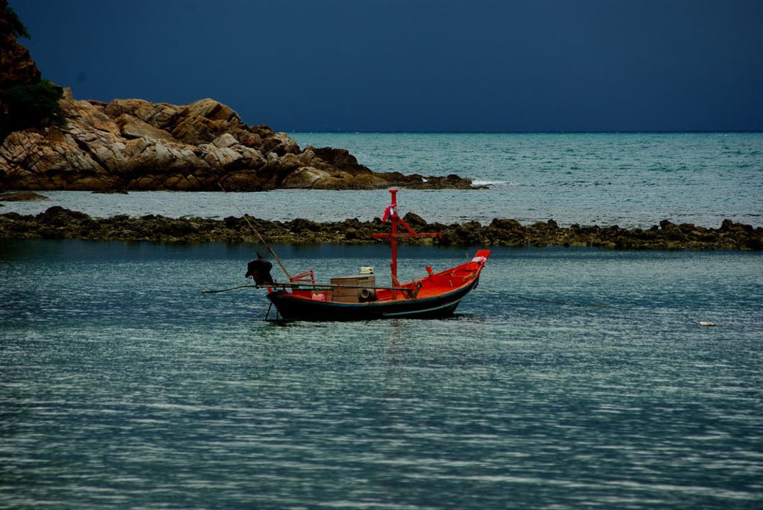 Widok z tarasu Hotel Salad Hut