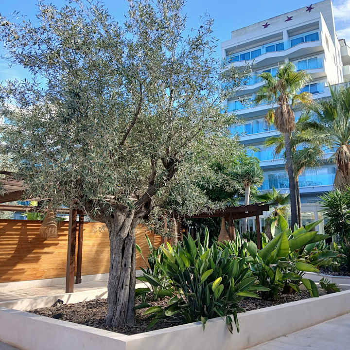 Außenansicht Hotel Bahia del Sol