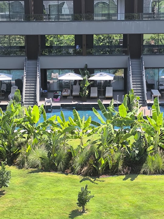 Gartenanlage Jacaranda Luxury Resort