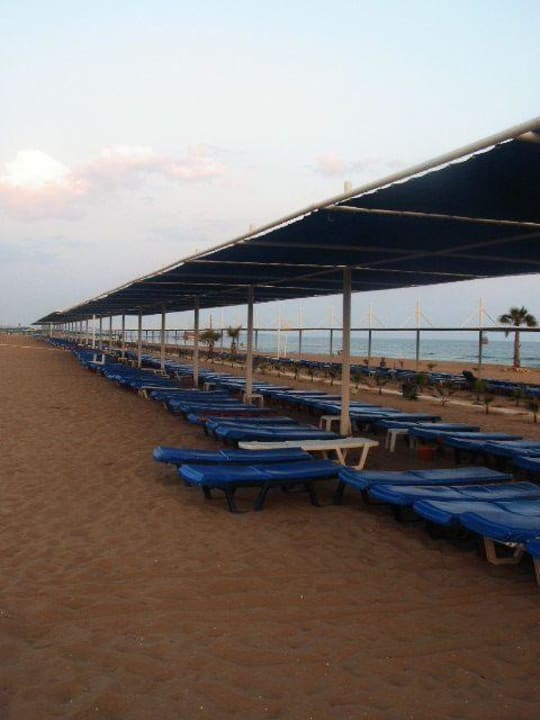 Liegen am Strand Club Grand Side