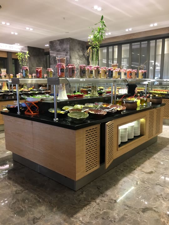 Gastro Seashell Vega