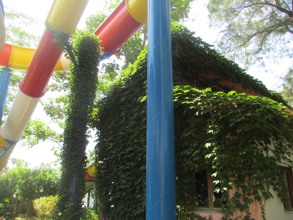 Водные горки Botanik Hotel & Resort