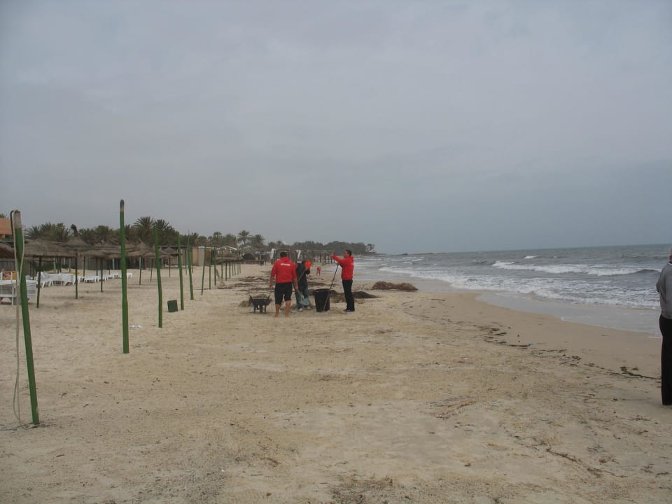 Umgehende Säuberungsaktion El Ksar Resort & Thalasso