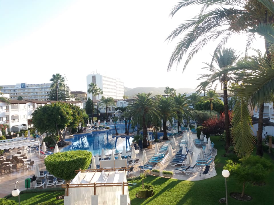 Zimmer Alcudia Garden Aparthotel