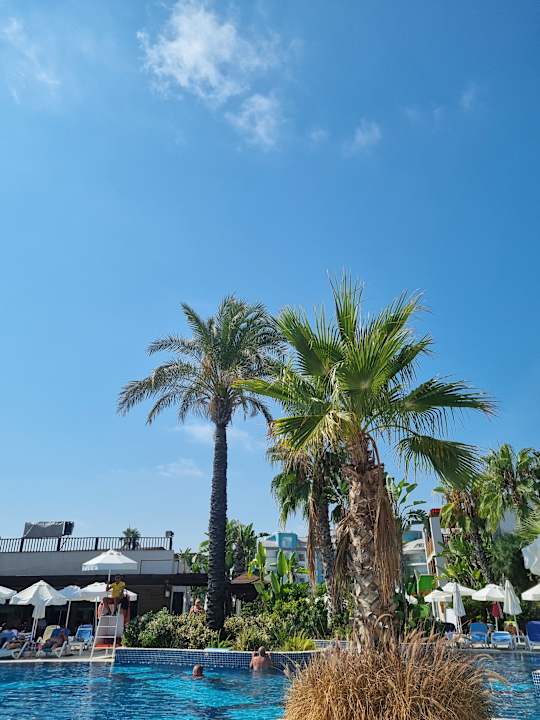 Pool Sunis Evren Beach Resort Hotel & Spa