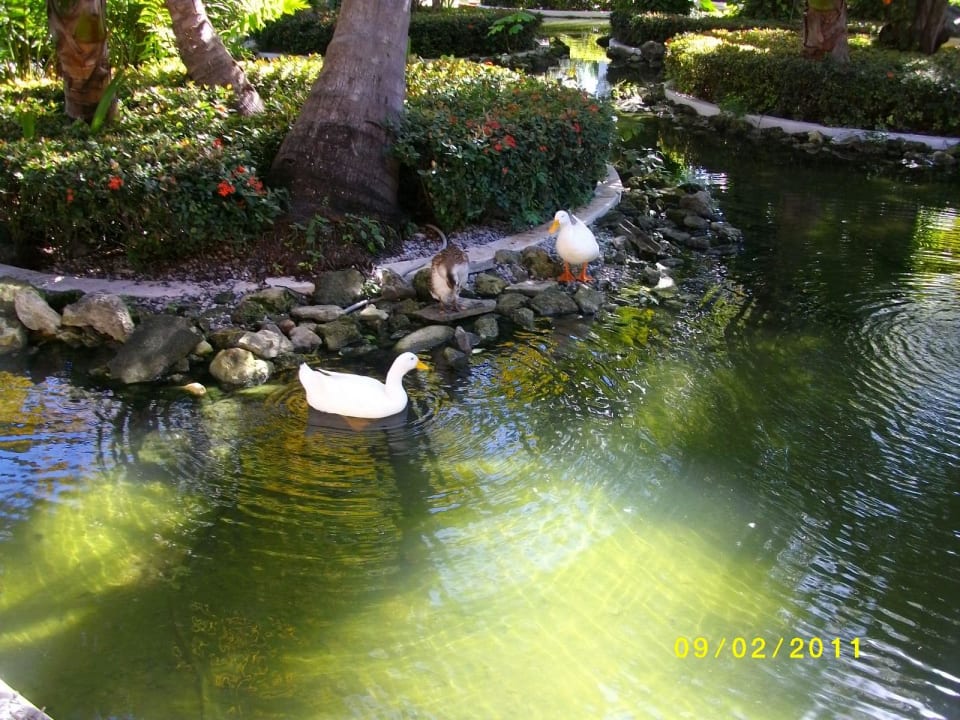 Eingang vom Hotel Grand Palladium Select Bávaro Resort & Spa