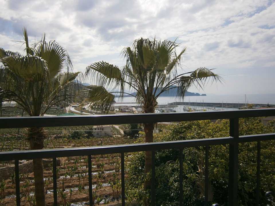 La Finca Marina La Finca Marina