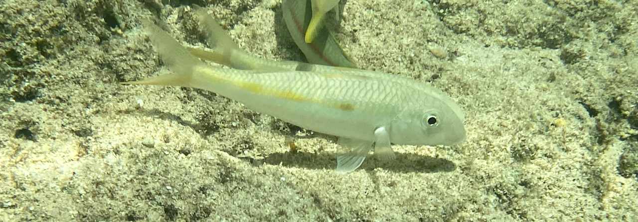 Strand Three Corners Happy Life Beach Resort