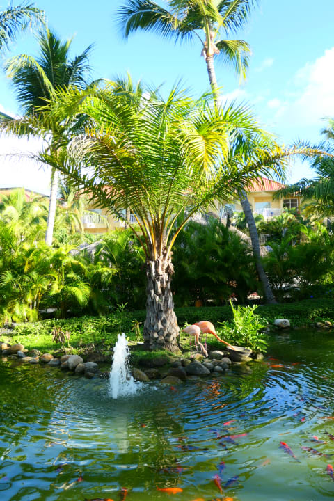Gartenanlage Wyndham Alltra Punta Cana
