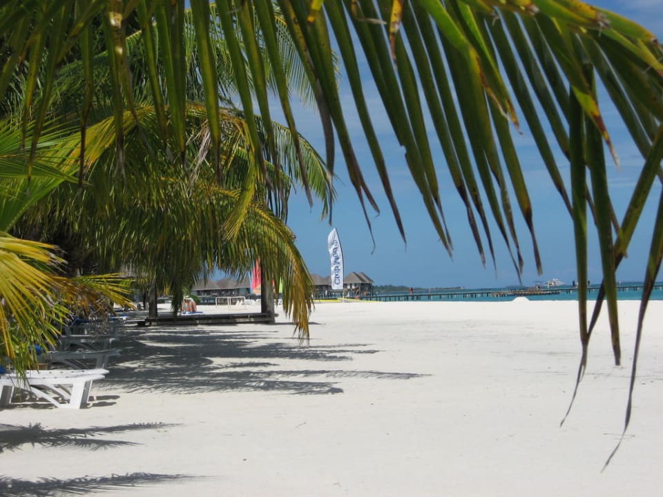 Seule au monde Club Med Kani