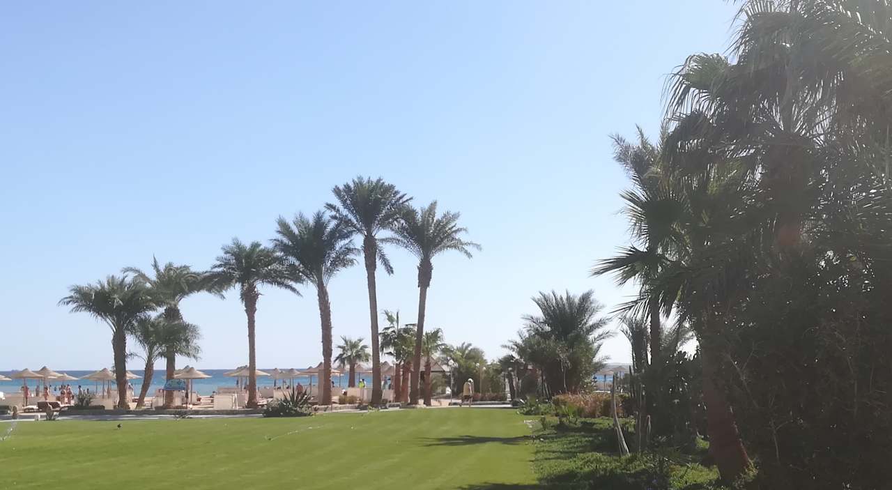 Gartenanlage Shams Safaga Resort