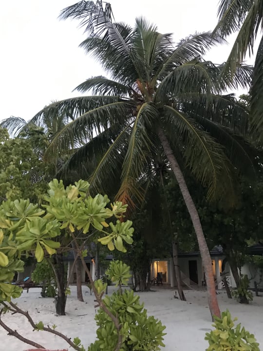 Garten Villa Park Sun Island