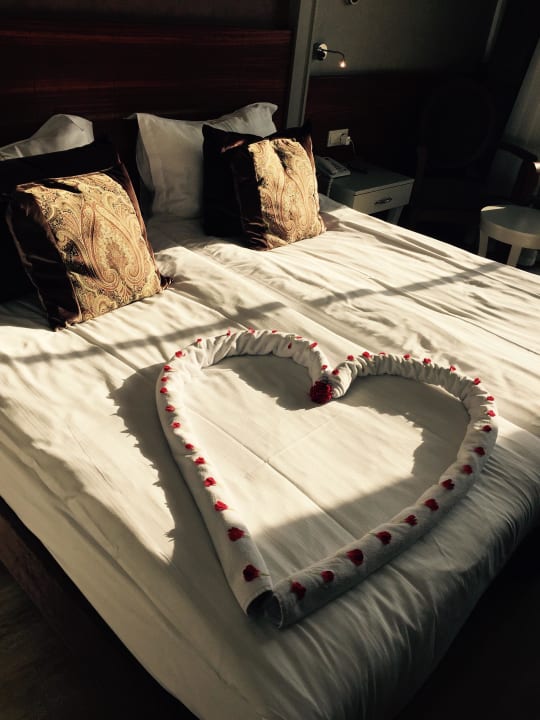 Zimmer Well Palace Side