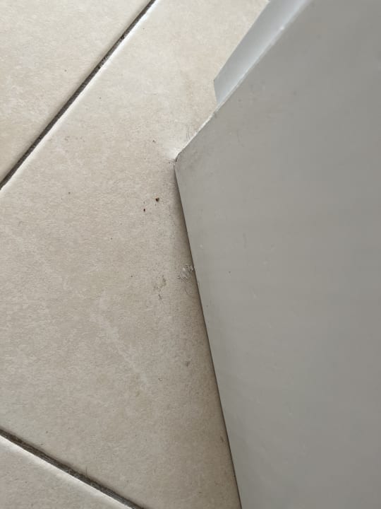 Zimmer allsun App.-Hotel Albatros