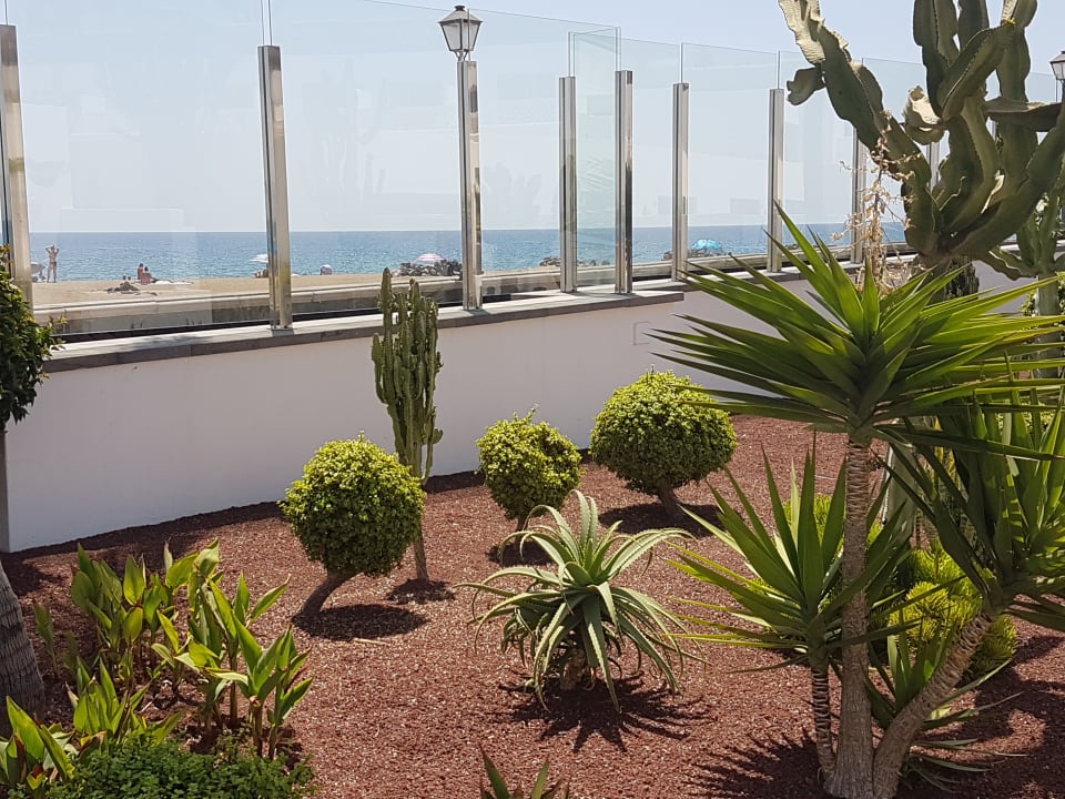Gartenanlage Hotel Las Costas