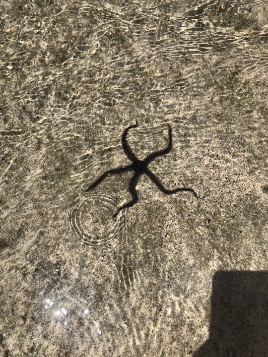 Strand Malikia Resort Abu Dabbab