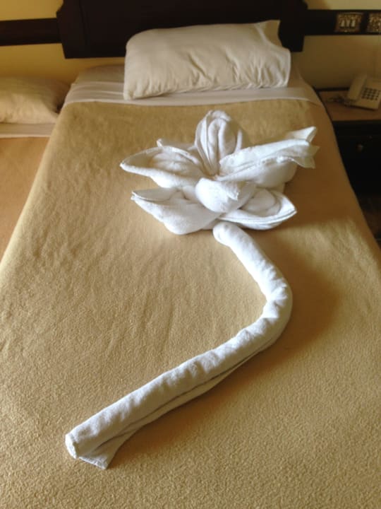 Подарок от персонала Sunny Days Palma De Mirette Resort & Spa