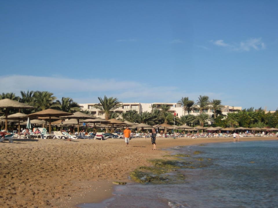 Strand Fort Arabesque Resort, Spa & Villas