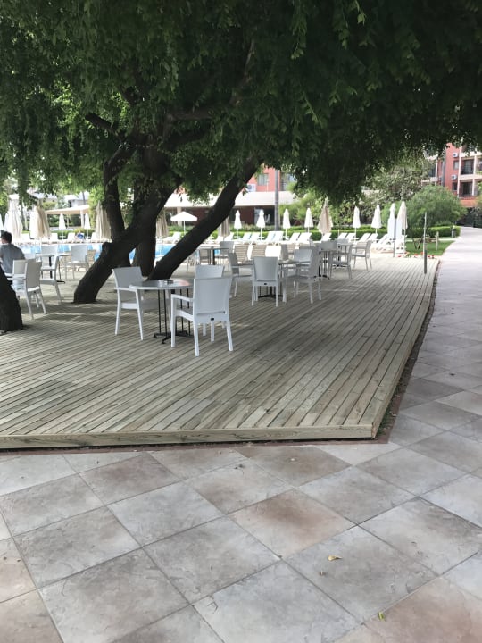 Restaurant Palmeras Beach Hotel