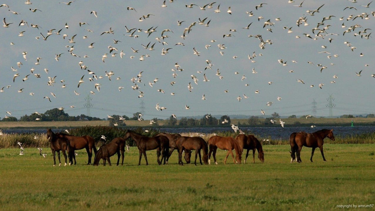 Mehr Umgebung Hotel Zwei Linden