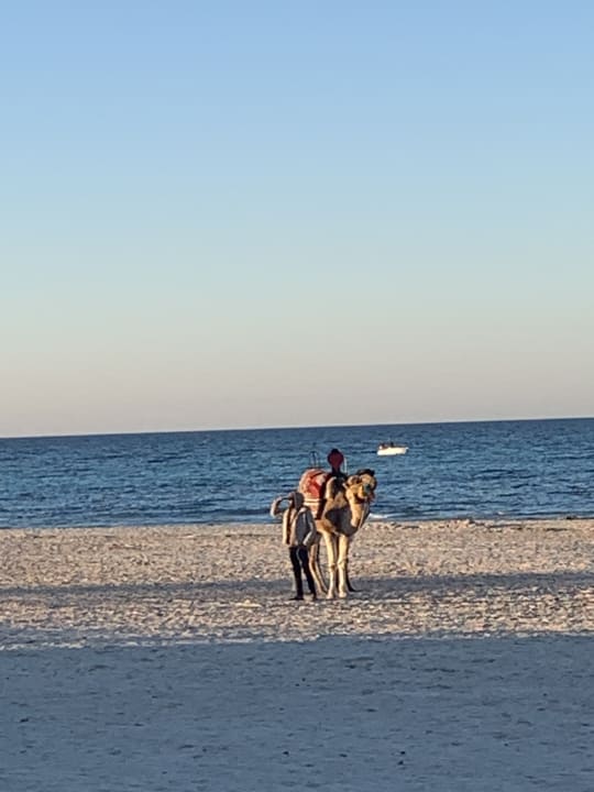 Strand Calimera Yati Beach