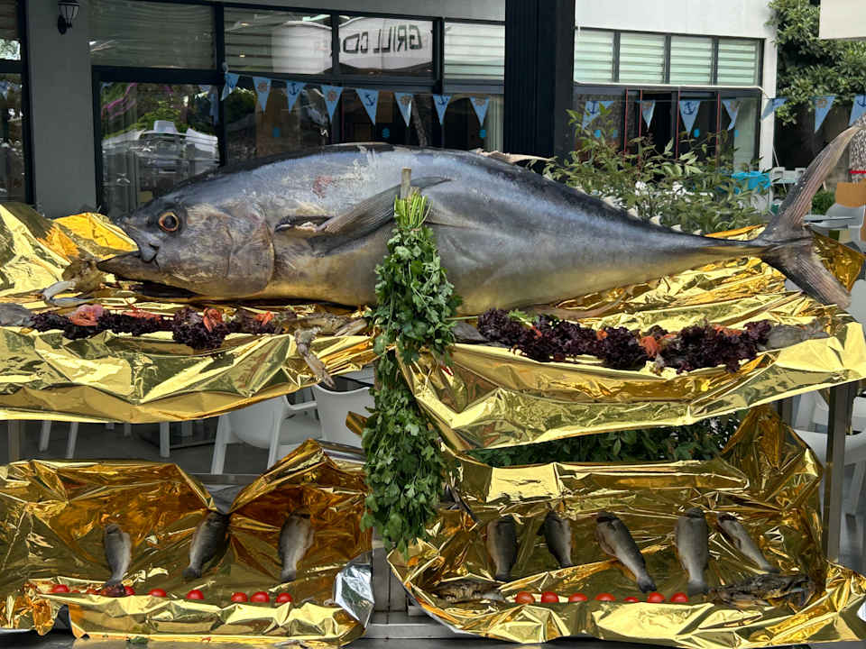 Gastro Numa Bay Exclusive Hotel