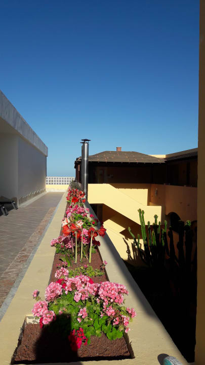 Gartenanlage H10 Playa Esmeralda - Adults only