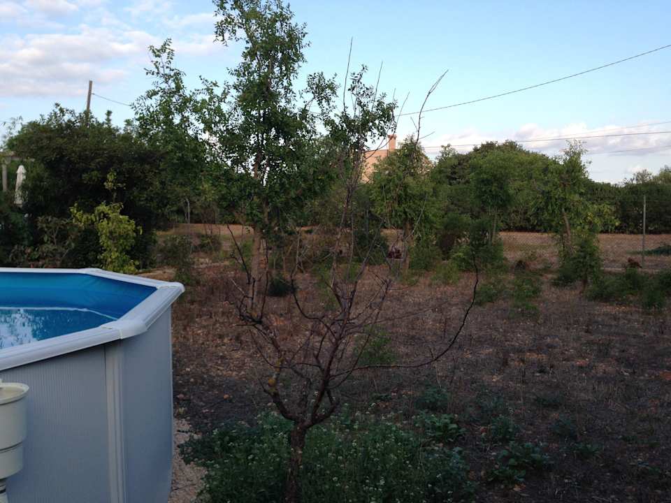 Schwimmbecken Finca Kalotta