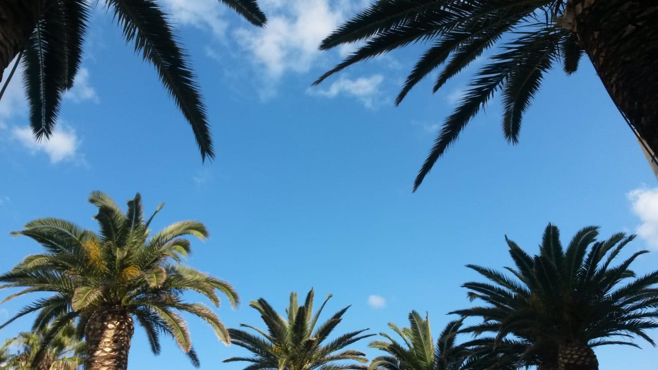 Skyhigh Calimera Sirens Beach