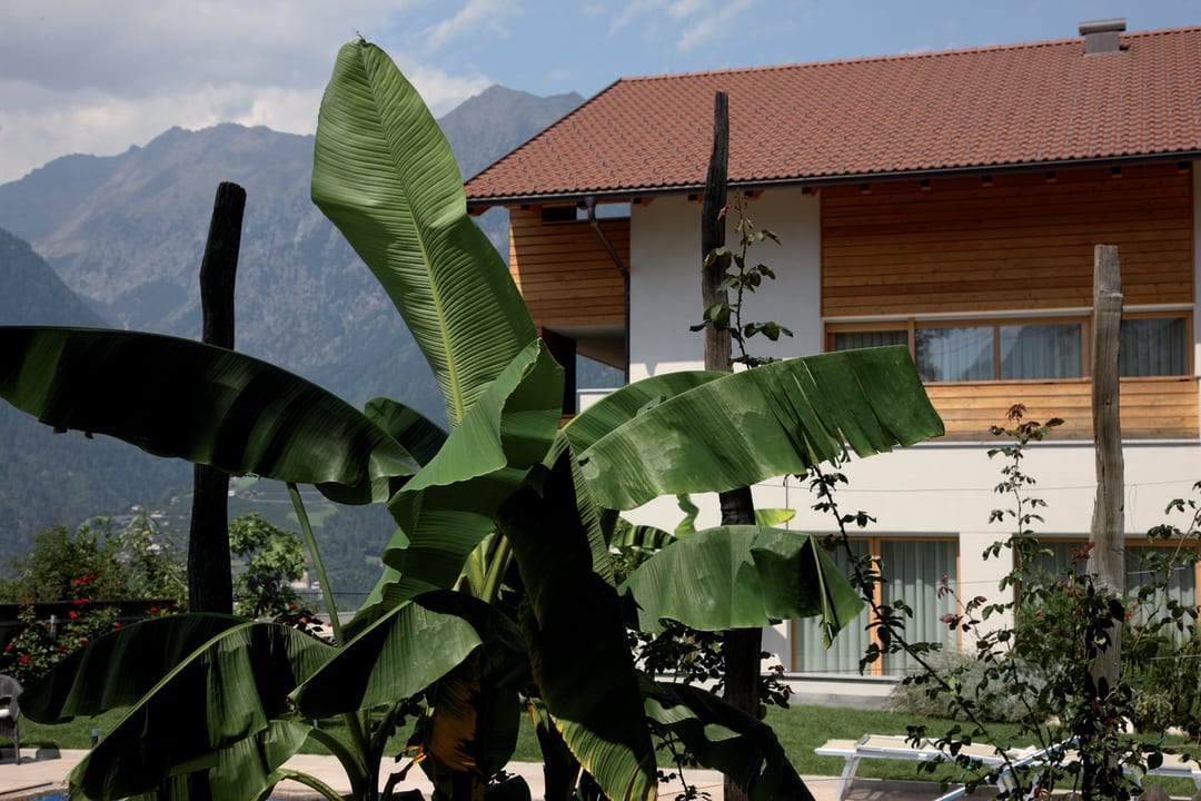  App.Torgglerhof Gartenanlage Torgglerhof