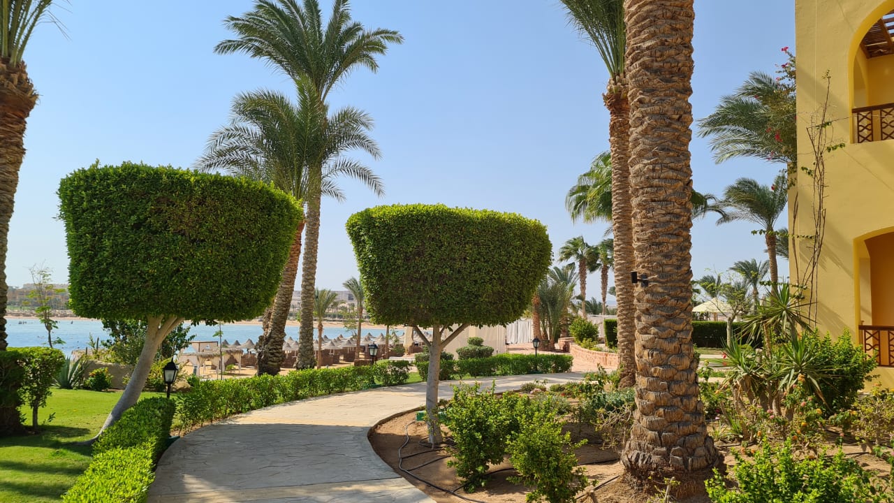 Gartenanlage Steigenberger Coraya Beach - Adults only