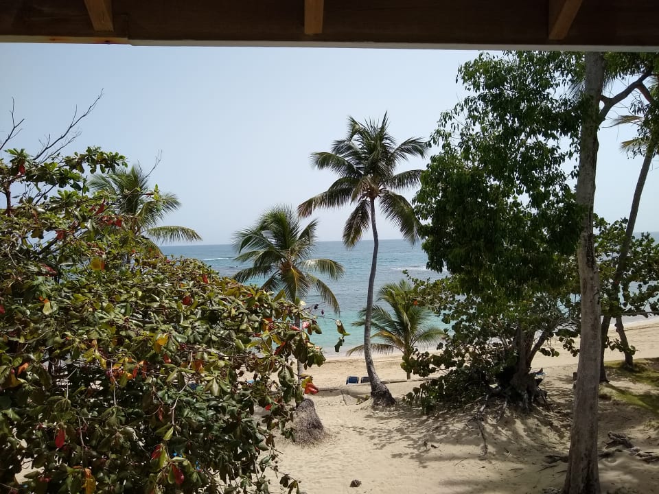 Ausblick Grand Paradise Playa Dorada