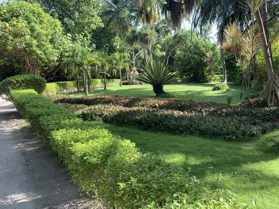 Gartenanlage Adaaran Select Meedhupparu Island Resort - Premium All Inclusive