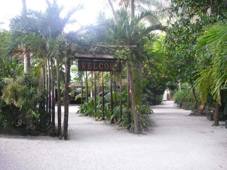 Welcome Summer Island Maldives