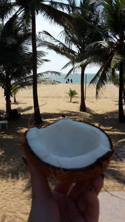 Strand Hotel Golden Star Beach