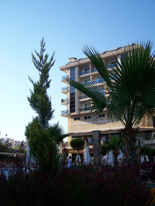 Ansicht Dizalya Palm Garden