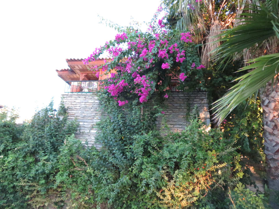 Widok z ulicy Konak Melsa Hotel Dalyan