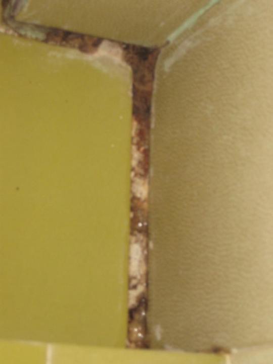 Schimmel Hotel Marianna