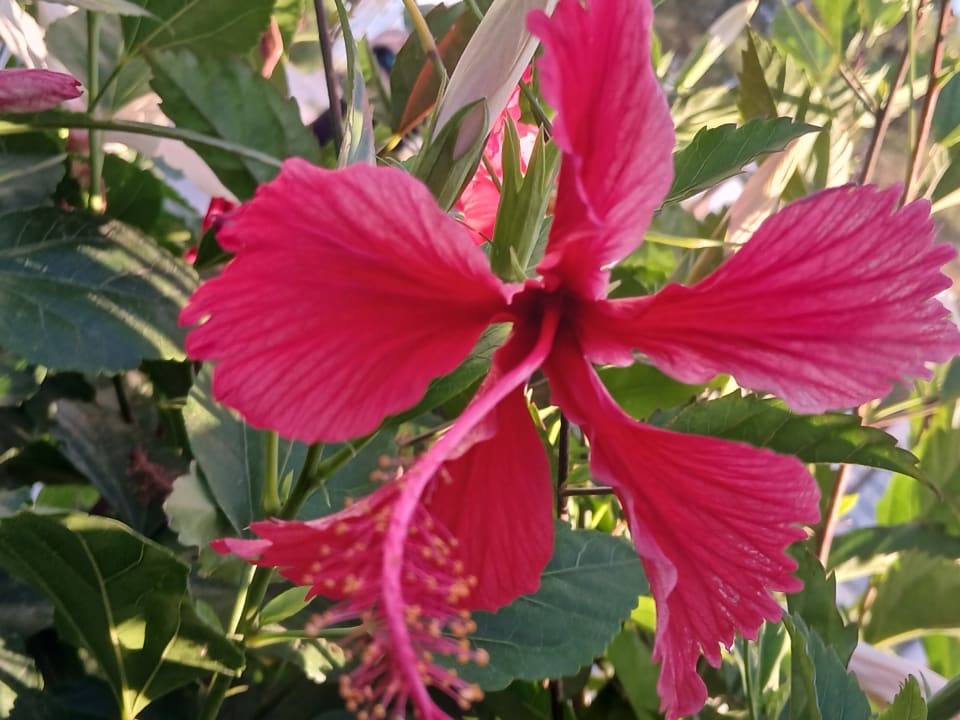 Gartenanlage Ephesia Holiday Beach Club