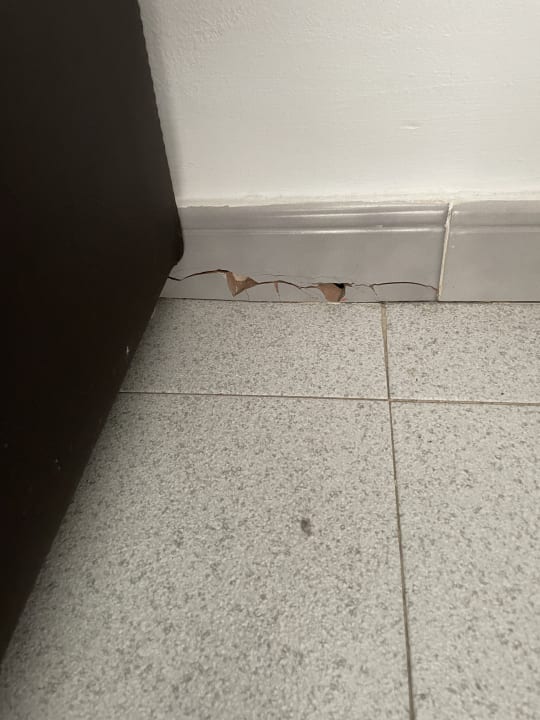 Zimmer Bungalows Vistaflor